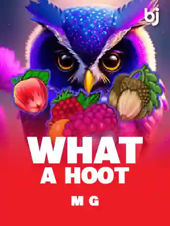 Slots - Microgaming - What A Hoot