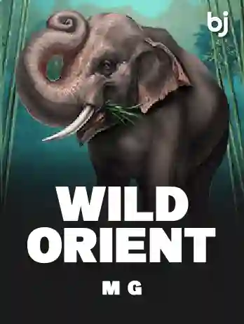 Slots - Microgaming - Wild Orient